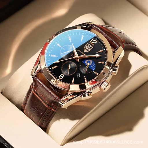 Poedagar Executive Chronograph Men's Luxury Watch